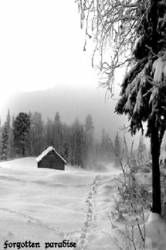 Niedertracht : Forgotten Paradise